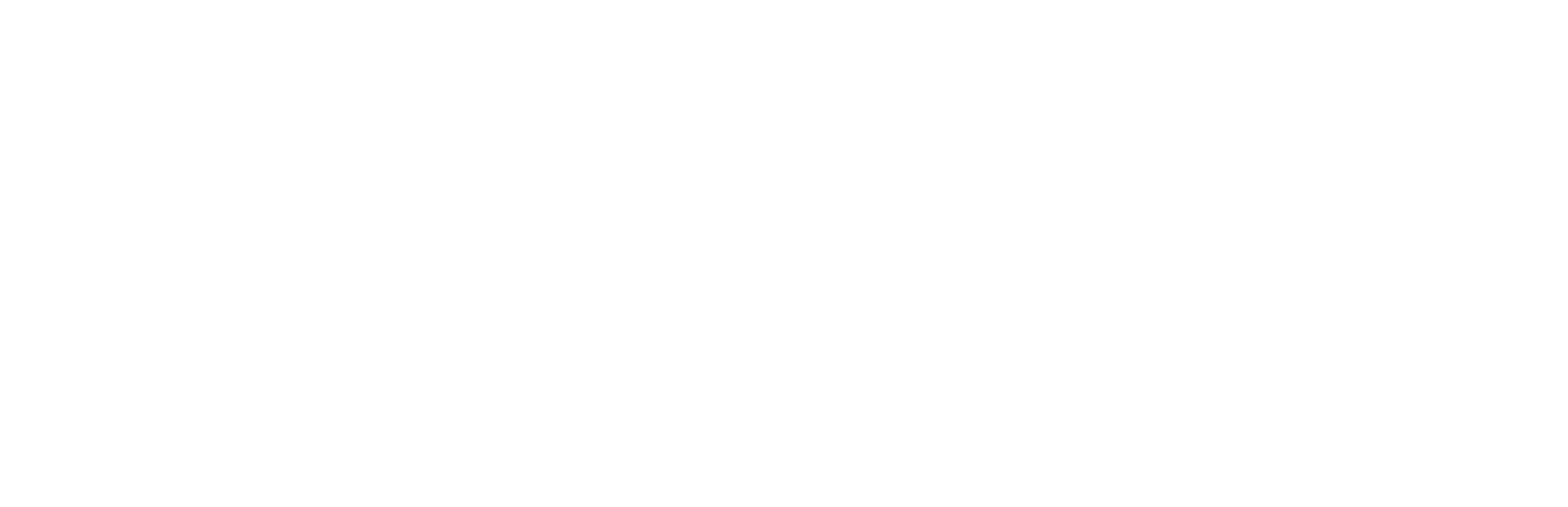 Partner-Assessment-Corp-ALL-WHITE-LOGO