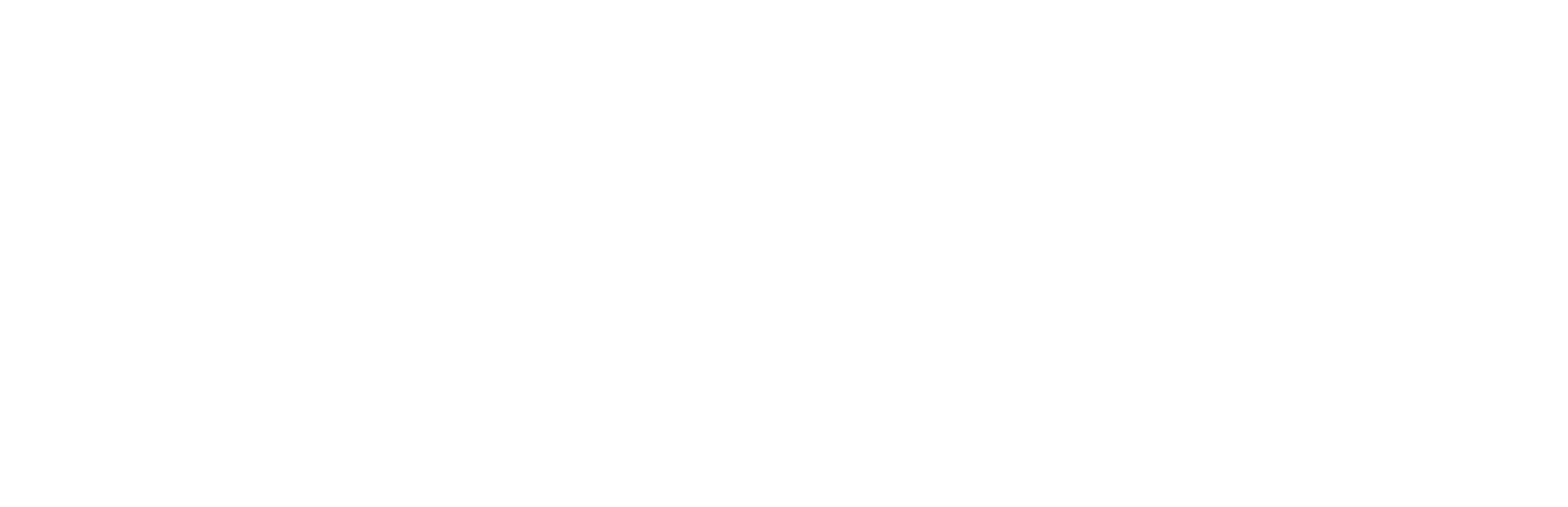 Partner-Energy-ALL-WHITE-LOGO