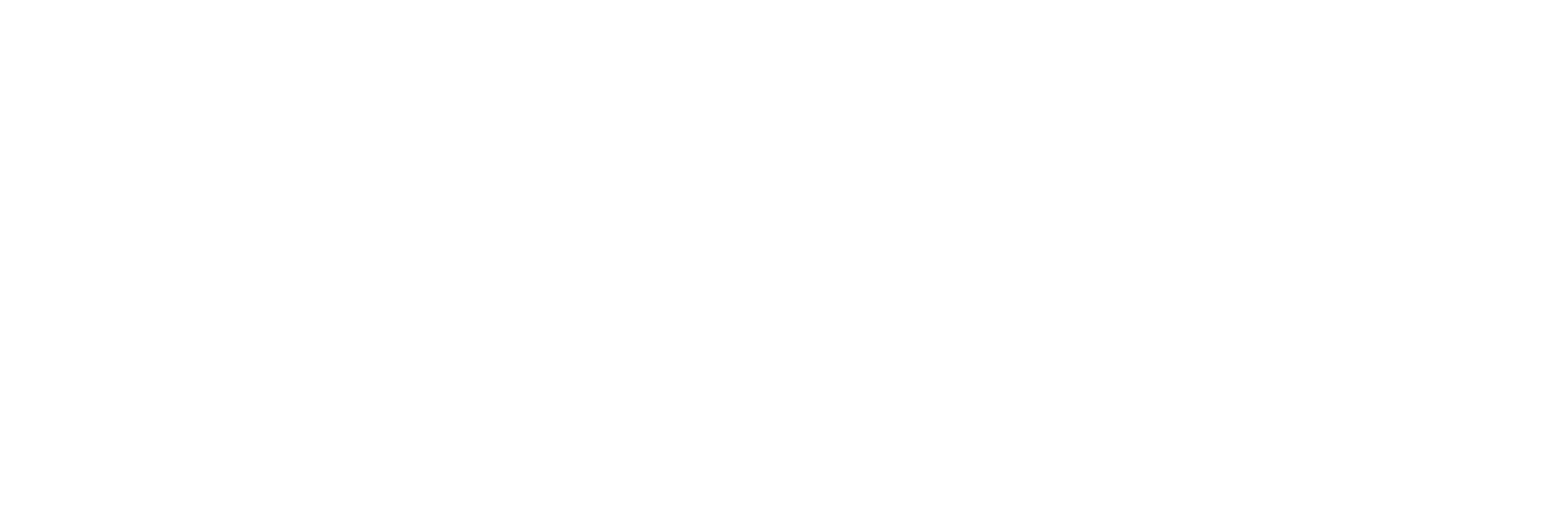 Partner-Valuation-Advisors-ALL-WHITE-LOGO